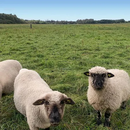 بيت للعطل Beautiful In With Kitchen