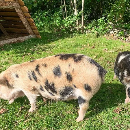 Beautiful In With Kitchen بيت للعطل *