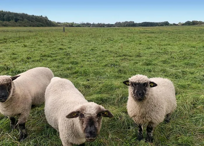 Сasa de vacaciones Beautiful In With Kitchen