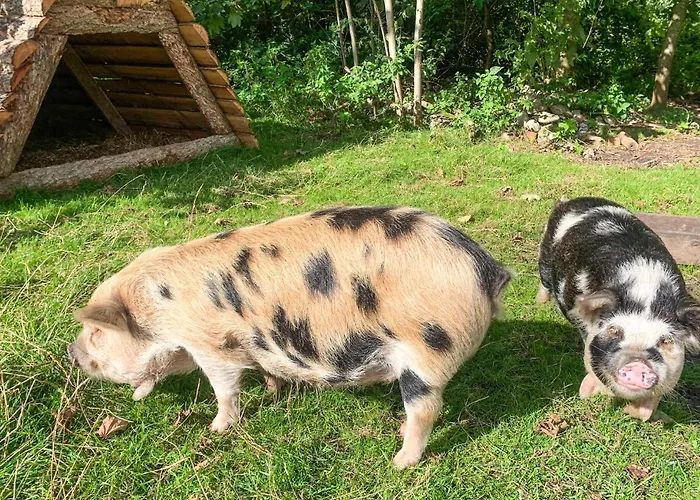 Beautiful In With Kitchen Сasa de vacaciones *