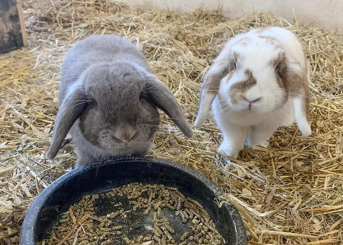 Beautiful In With Kitchen Сasa de vacaciones Varde